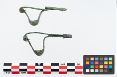 Foto von Bronzepaukenfibel (NHMW-PRAE-026418)